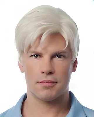 Produktbild von Blonde Traummann Herren Perücke