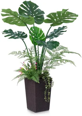 Immagine prodotto di Pianta artificiale Monstera, 120 cm, marrone, resistente ai raggi UV