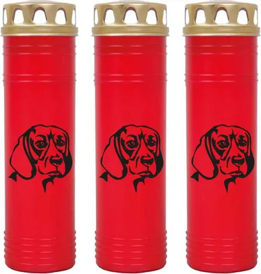 Image de Bougie funéraire - Lot de 3 - Rouge 170h ( couvercle doré ) - Teckel