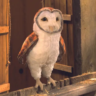 Produktbild von Folkmanis Handpuppe Schleiereule 3124