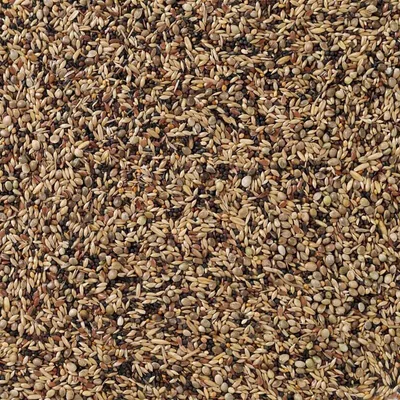 Produktbild von DELI NATURE Waldvögel Basis Vogelfutter 20kg