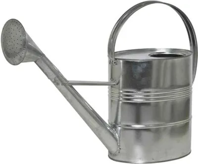 Immagine prodotto di SIENA GARDEN Annaffiatoio in zinco da 10 l, argento