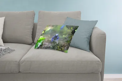 Produktbild von MuchoWow® Zierkissen Sofakissen Wohnzimmer Dekokissen 60x40 cm Blauer Frosch im Dschungel - Kopfkissen - Polster mit Foto