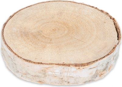Birkenscheibe Ø10-15cm x 2cm