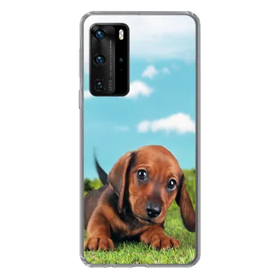 Produktbild von MuchoWow® Handyhülle Schutzhülle Hülle für Huawei P40 Pro Schöner Himmel über einem niedlichen Dackelwelpen Silikon Softcase Handy Hülle - Schutz
