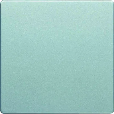 Produktbild von Berker 16206084 - Aluminium - Duroplast - 10 Stück(e)