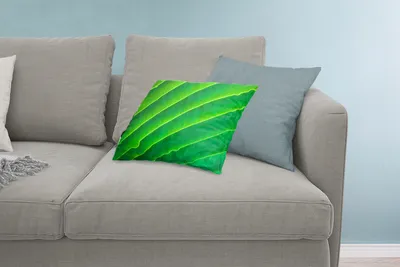 Produktbild von MuchoWow® Zierkissen Sofakissen Wohnzimmer Dekokissen 60x40 cm Lange Adern in einem grünen Blatt - Kopfkissen - Polster mit Foto