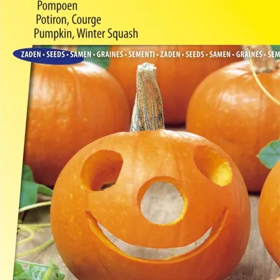 Produktbild von Spooktacular Kürbiskerne –  für dekorative und leckere Kürbisse – ideal für Herbst- und Halloween-Dekoration und kulinarische Zwecke