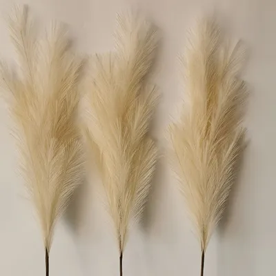 Produktbild von 110 cm Pampasgras Natürliches Getrocknetes Getrocknet Blumen Phragmites Trockenblumen Gartendekoration Hochzeit Home Party Deko, beige