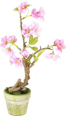 Produktbild von Mandelbaum Kunstpflanze Rosa Blüten Topf 28cm