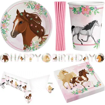 Produktbild von Pferde Kindergeburtstag Partyset Geburtstag Pony Pferd rosa