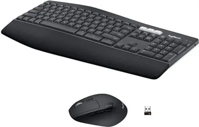 Image de Ensemble Clavier Souris, Sans Fil, Logitech MK850, AZERTY, Noir