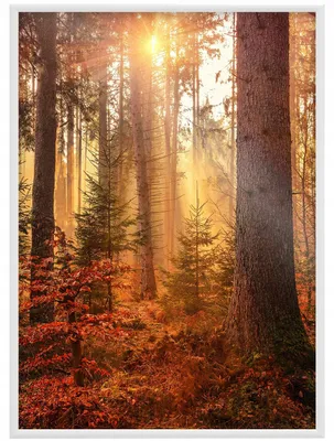 Obrázek produktu pro Raw-West Hliníkový rám 60x80cm bílý matný