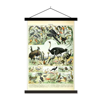 Produktbild von MuchoWow® Textilposter Tiere - Vögel - Design 120x180 cm mit schwarzem Rahmen - Fotos