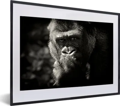 Produktbild von MuchoWow® MuchoWow® Gerahmtes Poster Gorilla auf schwarzem Hintergrund in Schwarz und Weiß 60x40 cm - Poster mit zchwarzem Bilderrahmen - Schlafzimmer - Plakat in Rahmen - Drucken