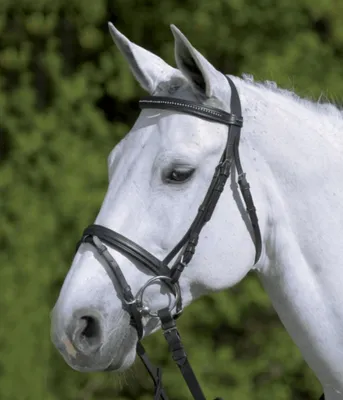 Immagine prodotto di Briglia snaffle STAR Diamante nero/bianco, SH