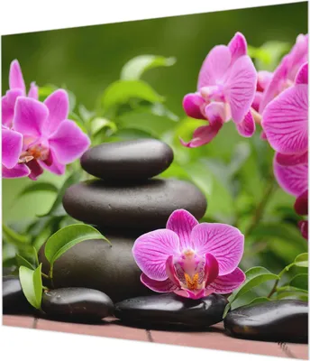 Zdjęcie produktu dla Tapeta ścienna – tapeta dekoracyjna do salonu – folia tapetowa do dekoracji ścian – 250 x 250 cm – kamienie orchidei