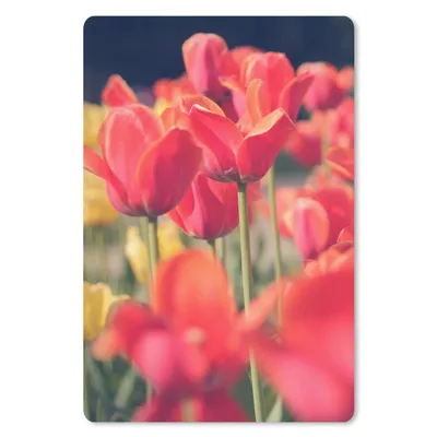 Produktbild von MuchoWow® Mauspad Mousepad Tulpen - Blumen - Natur 18x27 cm - Mousepads - Maus Mat - Pad - Mausunterlage