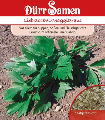 Produktbild von Dürr-Samen - Liebstöckel/ Maggiekraut - Saatgut - 0182