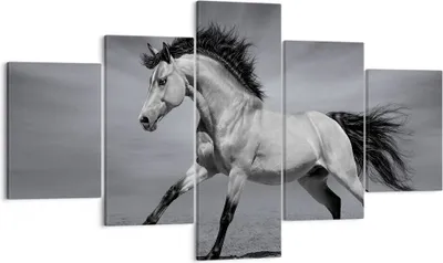 Produktbild von Bild auf Leinwand - Leinwandbild - Pferd Tier Natur - 125x70cm - Wand Bild - Wanddeko - Wandbilder - Leinwanddruck - Bilder - Kunstdruck - Wanddekoration - Leinwand bilder - Wandkunst - EA125x70-3608