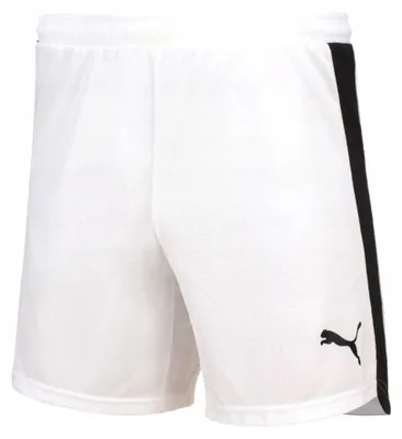Imagen del producto de Pantalones Puma Evospeed 70160704