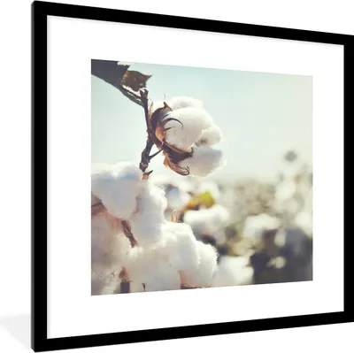 Produktbild von MuchoWow® MuchoWow® Gerahmtes Poster Pflanzen - Blume - Zweig - Natur 40x40 cm - Poster mit zchwarzem Bilderrahmen - Poster - Plakat im Rahmen