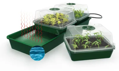 Produktbild von BioGreen Beheizter Anzuchtkasten "Hollandia" mit den Maßen L 54 x B 21 x H 17 cm