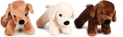 Produktbild von Beeztees Plüschund Asco - Hundespielzeug - Farblich sortiert - 26 cm