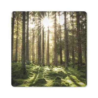 Produktbild von MuchoWow® Mauspad Mousepad Wald - Moos - Baum 20x20 cm - Mousepads - Maus Mat - Pad - Mausunterlage - Desk Mat - Bureauartikeln