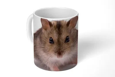 Produktbild von KitchenYeah® Tasse Kaffeetasse Kaffeebecher 350 ml Kleiner Hamster Teetasse - Fototasse - Becher - Keramikbecher - Teebecher - Kaffeetasse - Bürotasse