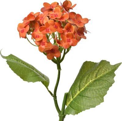 Obrázek produktu pro Clayre & Eef umělá květina 37 cm oranžová plastová