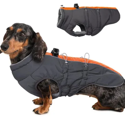 Immagine prodotto di Cappotto invernale per cani, impermeabile, regolabile, con imbracatura, per cani di taglia media, colore arancione-grigio, taglia M