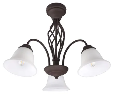 Zdjęcie produktu dla Lampa sufitowa RUSTICA 601000324 Trio