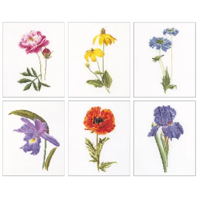 Produktbild von Thea Gouverr Kreuzstich Stickpackung "Sechs Blumenstudien II Aida", Zählmuster, 6x17cm