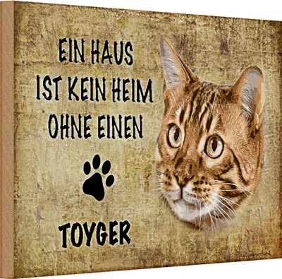Produktbild von Holzschild Spruch 30x20cm Toyger Katze ohne kein Heim