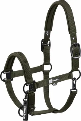 Image de Dynamic Halfter Double Pin 190 deep green P1