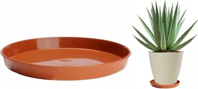 Produktbild von Runder Kunststoffuntersetzer in Holzoptik für Blumentöpfe 14 cm, Größe 0, terrakottafarben