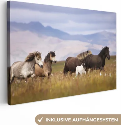 Produktbild von OneMillionCanvasses® - Leinwandbilder - 150x100 cm, Pferde - Gras - Berge, Wandbilder Kunstdruck Wanddekoration