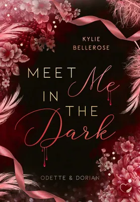 Produktbild von Meet me in the Dark