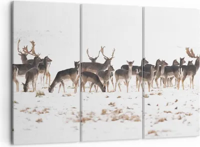 Produktbild von Bild auf Leinwand - Leinwandbild - Hirsch Winter Tierwelt Landschaft - 105x70cm - Wand Bild - Wanddeko - Leinwanddruck - Bilder - Kunstdruck - Leinwand bilder - Wandkunst - CE105x70-3144