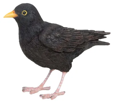 Image de Oiseau décoratif d'extérieur en polyrésine Merle