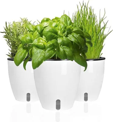Obrázok produktu pre Sada kvetináčov na bylinky na parapet, s automatickým zavlažovaním, sada 3 ks, bylinková záhradka, kvetináč na bylinky, kvetinový košík, 19 x 18 x 11 cm