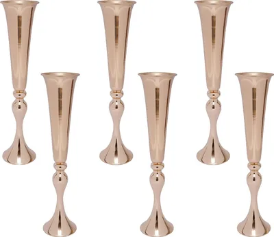 Immagine prodotto di Vaso da tavolo, design elegante, struttura robusta in ferro, 6 pezzi
