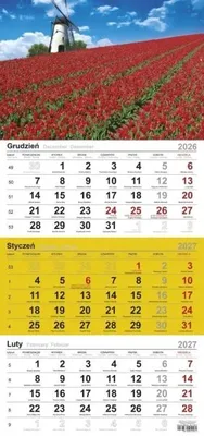Image de Calendrier 2025 : Cascade en trois parties - Michalczyk et Prokop