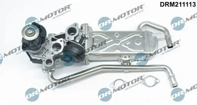 Produktbild von DR.MOTOR AUTOMOTIVE DRM211113 AGR-Ventil mit Dichtung für VW Polo Schrägheck (6R1, 6C1) Abgasrückführungsventil