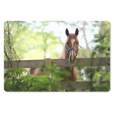 Produktbild von MuchoWow® Mauspad Mousepad Pferd - Natur - Zaun 27x18 cm - Mousepads - Maus Mat - Pad - Mausunterlage - Büroartikel - Desk Matten