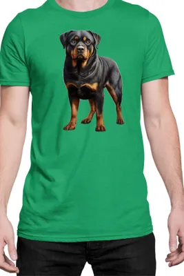 Immagine prodotto di Maglietta da uomo Dogs Breeds Rottweiler Dog Breed 005, Man L , Vert