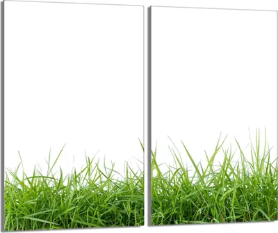 Produktbild von Glasschutzplatte für Herd 2x30x52 Weiß