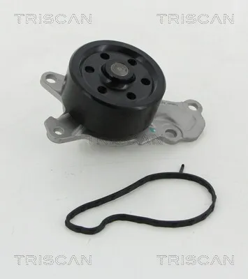 Produktbild von TRISCAN Wasserpumpe 8600 10039