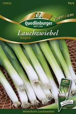 Produktbild von Quedlinburger Saatgut - Lauch-Zwiebeln Kaigaro - Samen - 290856